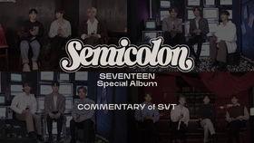 seventeen在线观看,在线观看解锁青春魅力 第3张 seventeen在线观看,在线观看解锁青春魅力 第3张